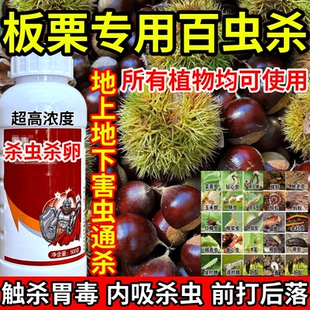 板栗专用百虫杀下害虫通杀果树蔬菜花卉蓟马蚜虫红蜘蛛杀虫剂农药