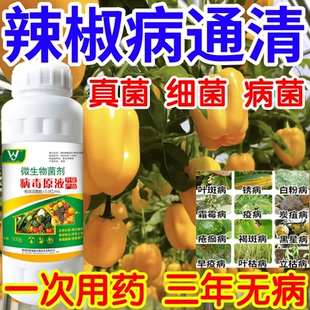 辣椒病通清黑星病立枯病疫病锈病果树蔬菜花卉生根壮苗增产杀菌剂