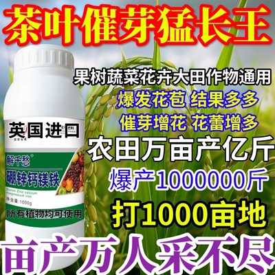 茶叶催芽猛长王硼锌钙镁铁水溶肥料果树蔬菜花卉肥保花果产增收