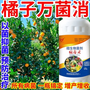 橘子萬菌消花卉抗重茬防治銹病炭疽病葉斑病霜霉病葉斑病