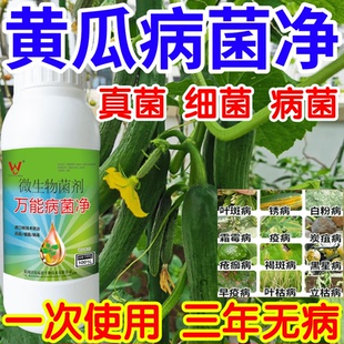 黄瓜病菌净白粉病灰霉病锈病绿植花卉果树蔬菜病害清一喷清杀菌剂