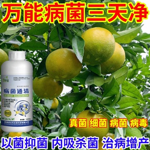 萬能病菌三天凈細菌病毒病早晚疫病霜霉病白粉病灰霉病稻瘟病銹病