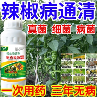 辣椒病通清黑星病立枯病疫病锈病果树蔬菜花卉生根壮苗增产杀菌剂