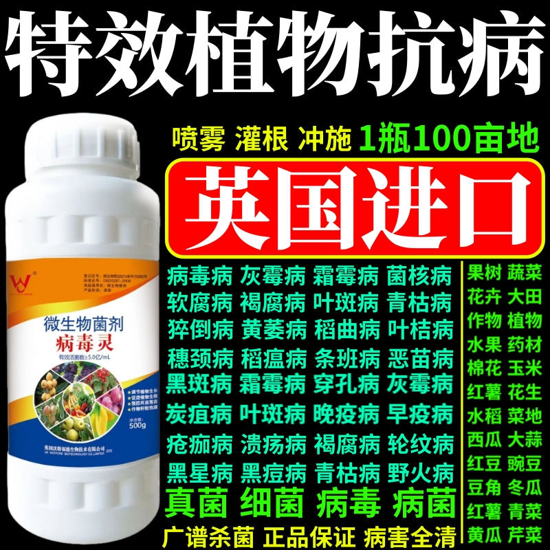 特效植物抗病软腐根腐病叶斑病灰霉病菌核病早疫病微生物菌剂杀菌
