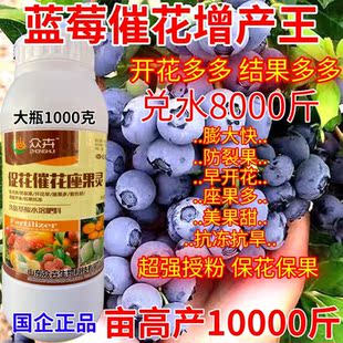 蓝莓催花保果座果保花保果开花多果农药防落花落果授粉增产叶面肥