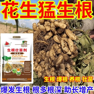 花生猛生根爆发生根育苗膨大根茎叶面肥扦插移栽果树蔬菜花卉通用