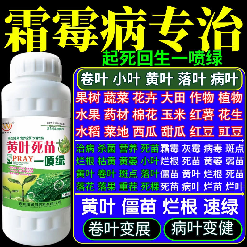霜霉病专治苗一喷绿叶面肥蔬菜花卉果树植物叶枯黄叶死苗烂根专治