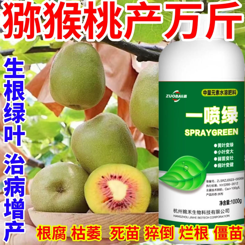猕猴桃产万斤叶小叶卷叶落叶茶叶水果蔬菜经济作物通用营养叶面肥