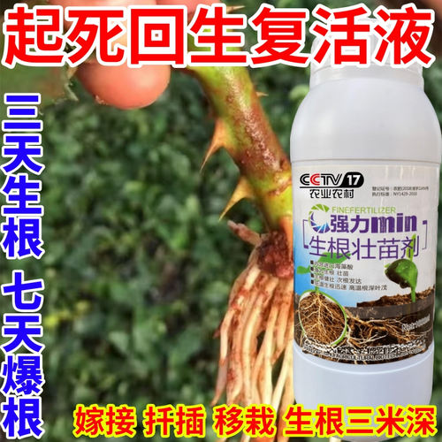 起死回生复活液生根粉生根剂壮苗发根生根剂扦插移栽通用水溶肥料