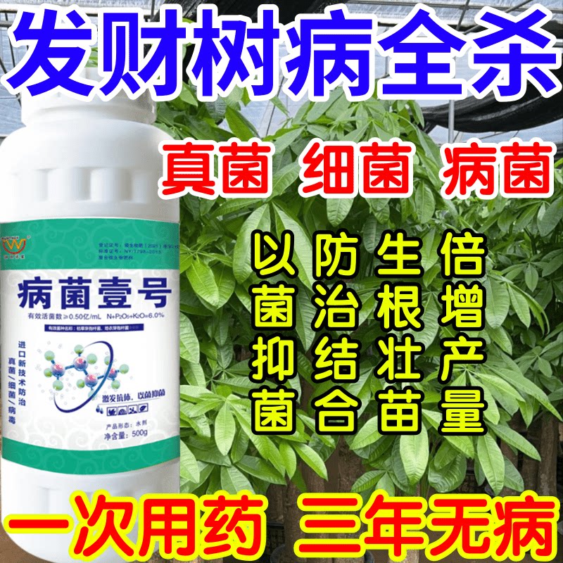 发财树病全杀菌抑菌病菌壹号生根绿叶生物防治果树蔬菜花卉杀菌剂
