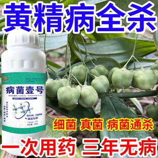 黄精病全杀正品进口病菌壹号杀菌广谱叶面肥料生物防果树蔬菜花卉