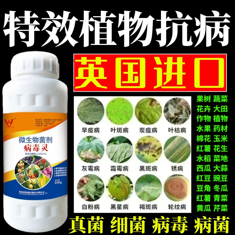 特效植物抗病灵果树蔬菜花卉杀菌剂锈病炭疽病叶斑病霜霉病叶斑病