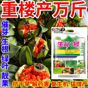 重楼产万斤催芽生根绿叶靓果抗干旱复生机作物通用增产增收叶面肥