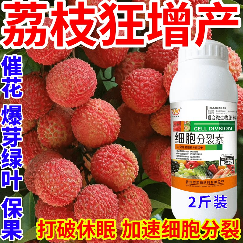 荔枝狂增产果树叶面肥爆芽素促花芽分化增产增收催芽剂细胞分裂素