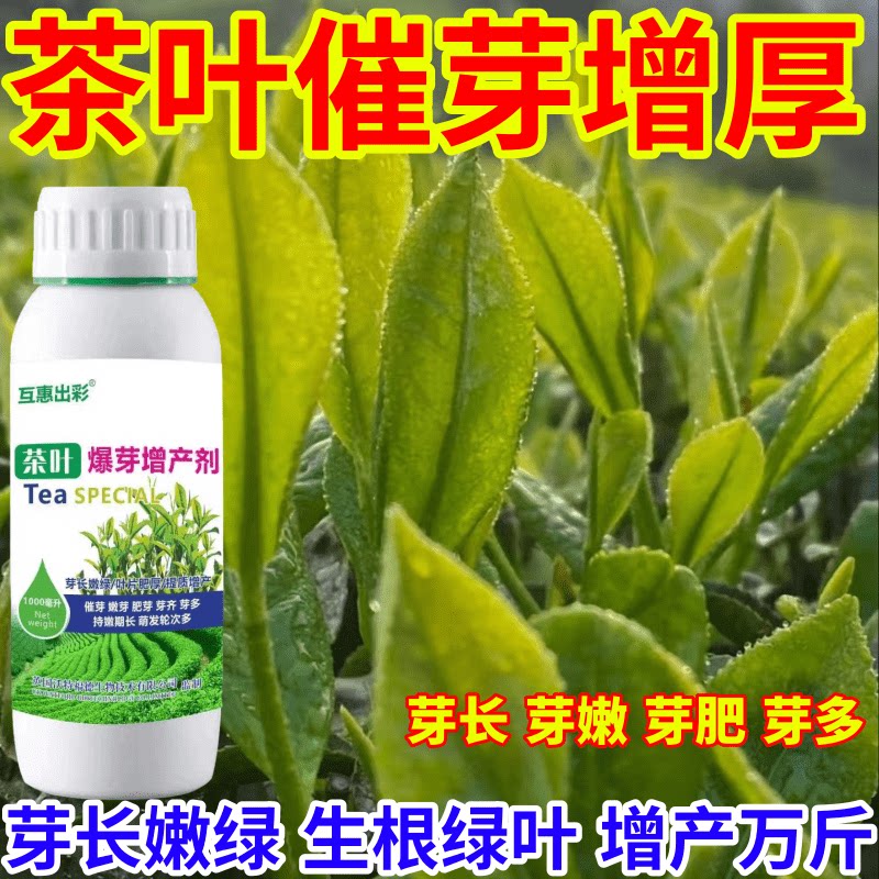 茶叶催芽增厚树专用肥茶叶催芽剂芽长嫩绿抗寒提前出芽芽多壮