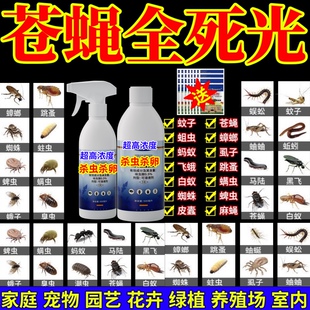苍蝇全死光强效害虫通杀地上地下卫生农药公共场所杀虫杀卵宠物虫