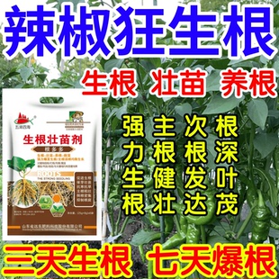 辣椒狂生根根深叶茂主根健株次根发达果树蔬菜花卉爆根生根壮苗剂