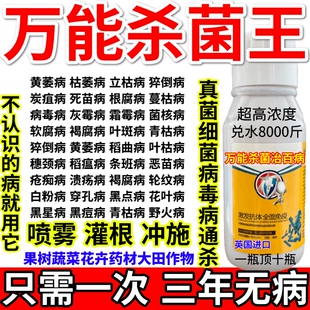 万能杀菌王果树蔬菜大田作物杀菌剂杀菌治百病真菌细菌老农药
