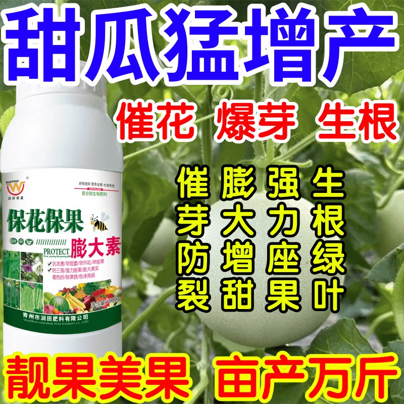 甜瓜猛增产花保果素蔬菜专用膨大剂水果增大剂防裂防落靓果叶面肥