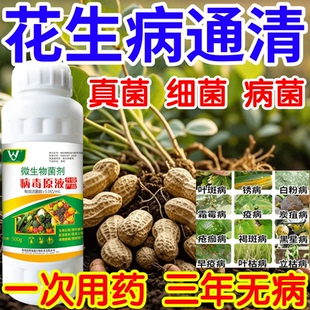 花生病通清黑星病立枯病疫病锈病果树蔬菜花卉生根壮苗增产杀菌剂