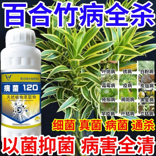 百合竹病全杀菌真菌病毒通杀杀菌剂霜霉病蔬菜果树白粉病病菌120