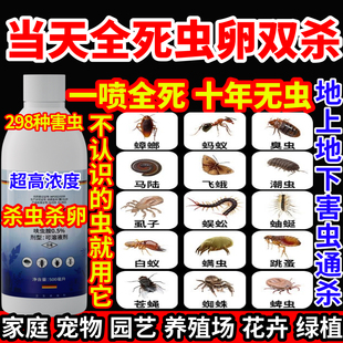 当天全死虫卵双杀杀宠物蟑螂蚂蚁白蚁药园艺花卉绿植下水道杀虫剂