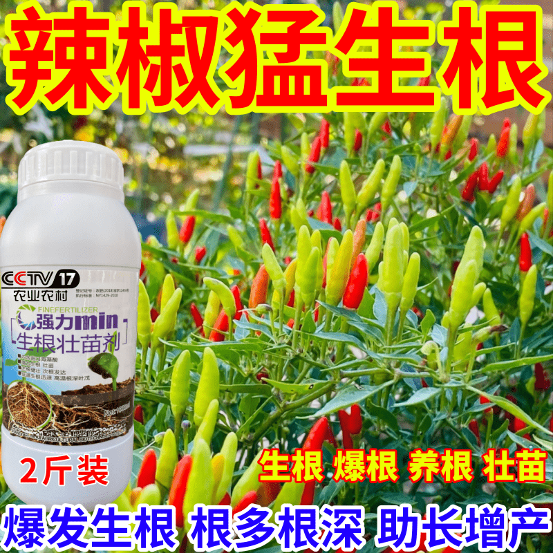 辣椒猛生根根壮苗剂速效生根液大树移植苗木扦插果树蔬菜生根剂