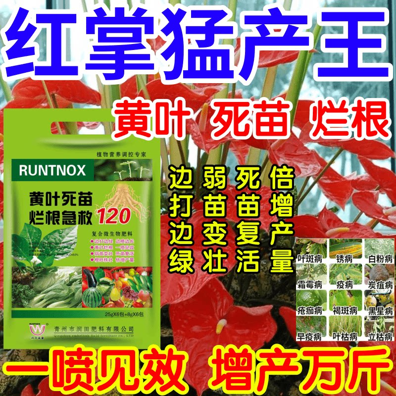 红掌猛产王黄叶变绿小叶变弱苗变壮治病增产叶面肥料果树蔬菜花卉
