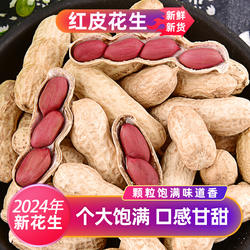 2025年苏花红皮花生500克净重网袋装带壳生红花生晒干红衣生花生