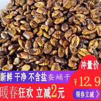 山東農(nóng)家桑蠶蛹小蠶蛹干