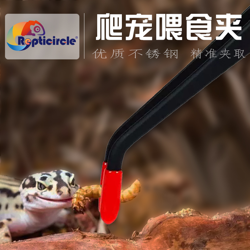 喂食夹蟋蟀乌龟守宫蜥蜴角蛙