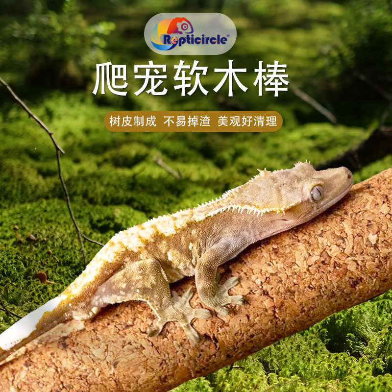 Repticircle爬宠软木棒不易掉渣
