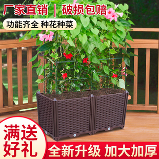 阳台种菜箱种植箱家庭屋顶菜园设备特大加深组合种菜盆槽塑料花盆