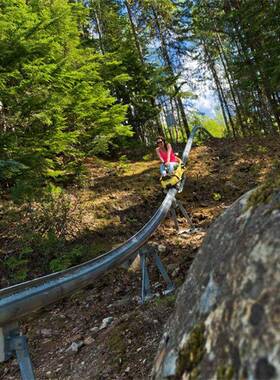 供草应新型户轨外景区滑游乐项目平稳流畅单RT-99 闭环式钢轨材质