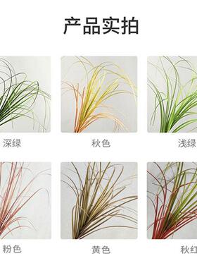 北欧i墙ns风真格家居仿真单支蒲内草015 室仿植物仿真绿色洋葱草