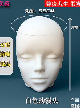 动漫头模cos二次元毛娘造型假发支架放置模特模具展示假人头模型