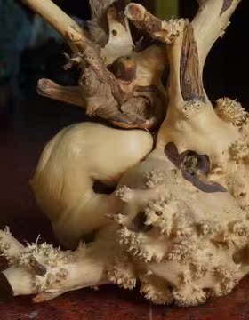 太行山崖柏白皮留疤料摆件孤品 送礼长辈观赏天然 古典木质收藏