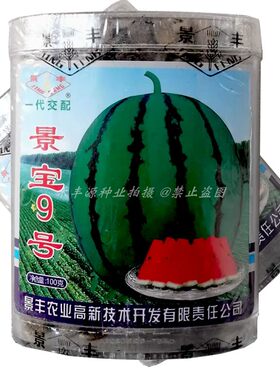 景宝9号西瓜种子大果地雷王西瓜100g大红瓤脆甜多汁抗病高产基地
