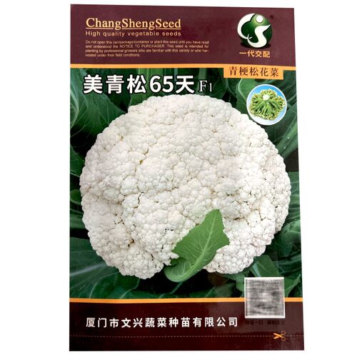 美青松65天青梗松花菜种子花椰菜白花菜杂交高产花椰菜种耐热耐湿