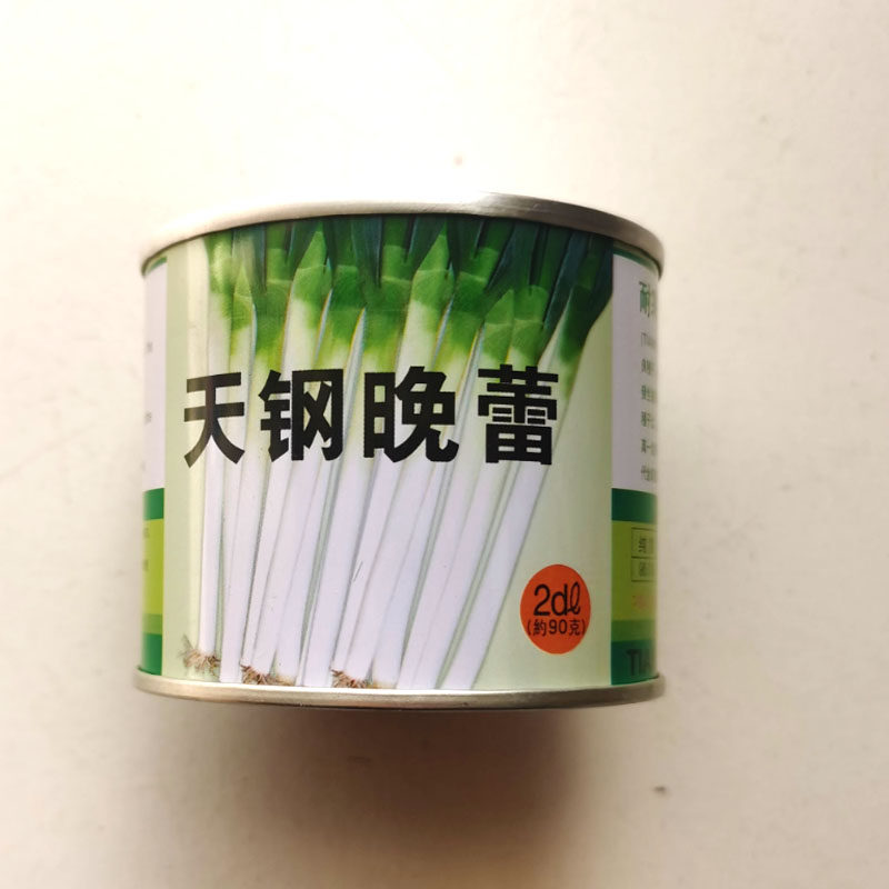 钢葱种子铁杆天钢晚蕾耐热耐寒晚抽苔抗病抗倒伏春秋种植阳台包邮
