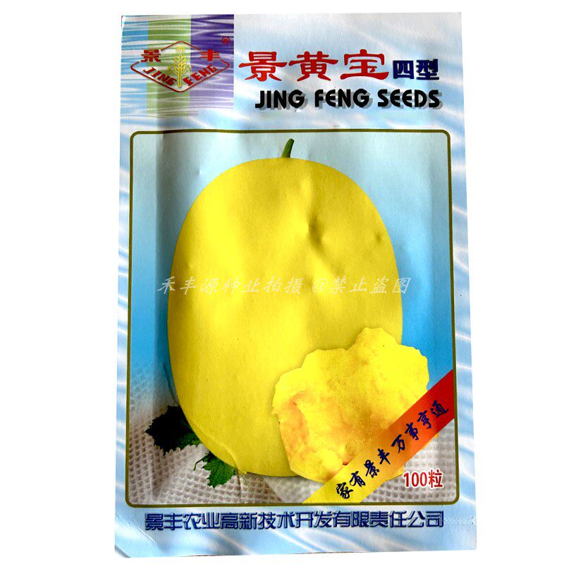 景黄宝四型西瓜种子黄皮黄瓤早熟高档礼品西瓜种籽椭圆形西瓜种籽