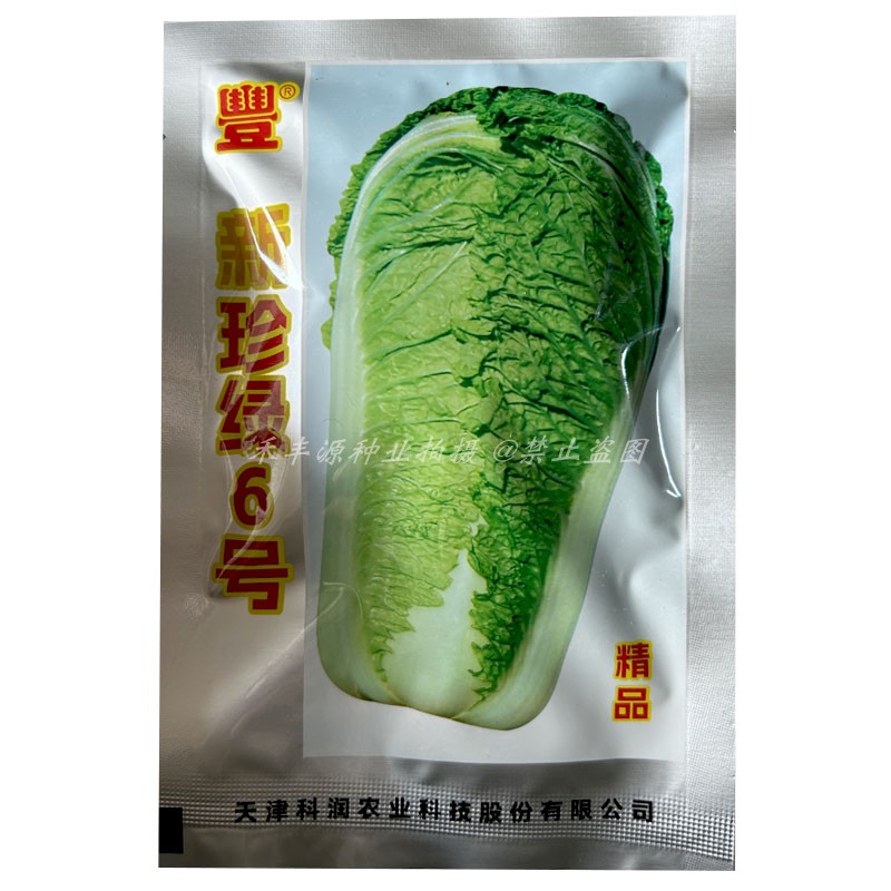 新珍绿6号秋季大白菜杂交青麻叶种子20g结球紧实深绿农家蔬菜种子
