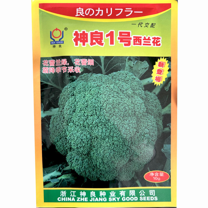 西兰花种子早中熟抗病速生