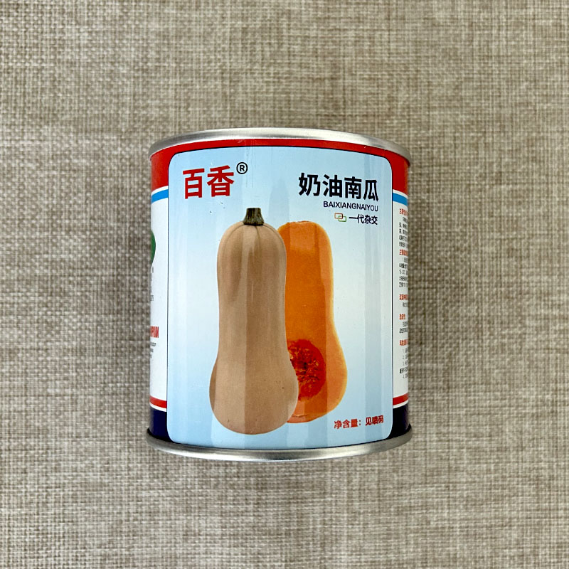 百香奶油南瓜种子杂交阿根廷粉糯香甜奶油南瓜大田用种原蔬菜种子