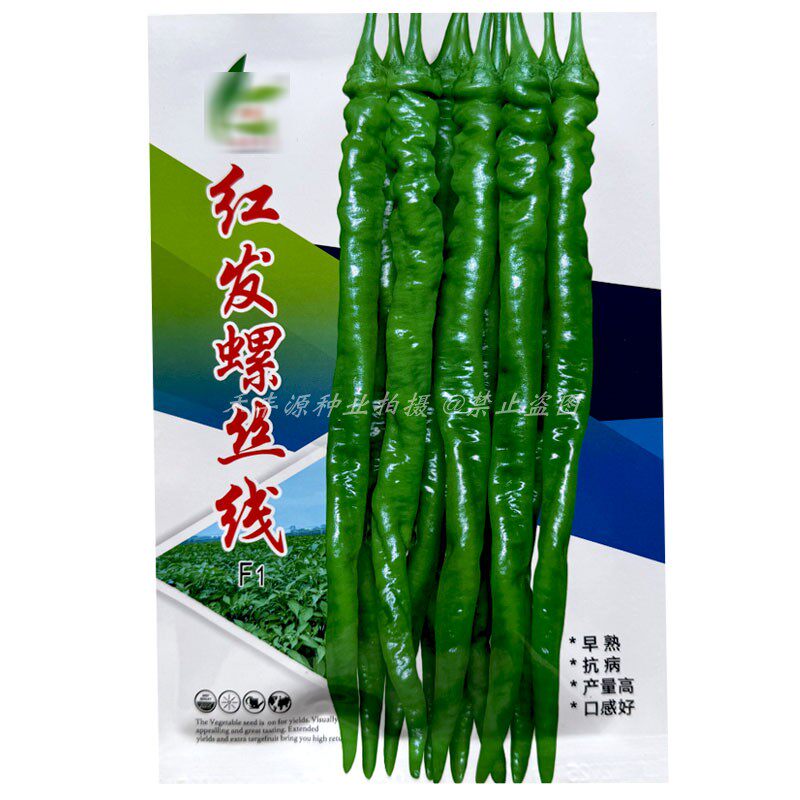 红发螺丝线椒种子F1早熟长果型皮薄辣味浓1000粒挂果多青红果两用