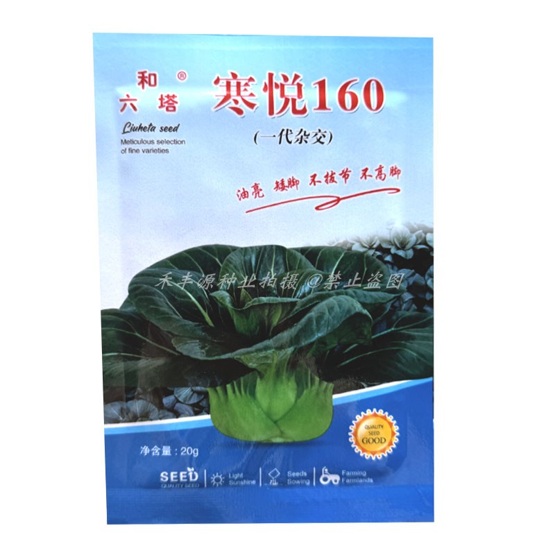 寒悦160青菜种子油亮矮脚不拔节20g不高脚杂交苏州青蔬菜种子