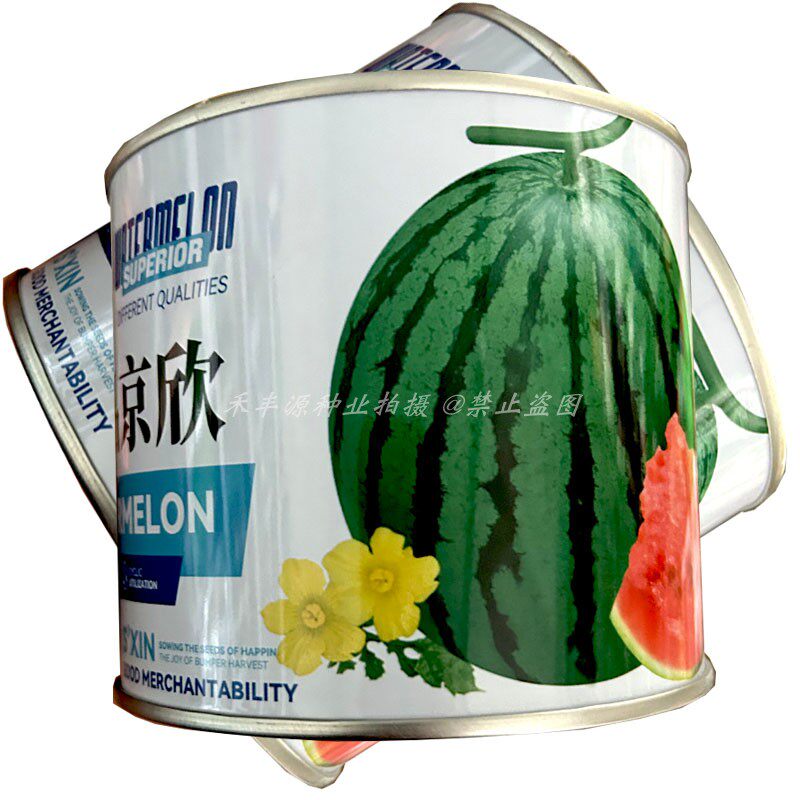 盈优极品京欣早熟花皮红肉西瓜子50g早春大棚红瓤椭圆形西瓜籽