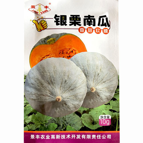 银栗南瓜冰糖蛋黄香南瓜种子甜面香新疆丑瓜金丝南瓜种子