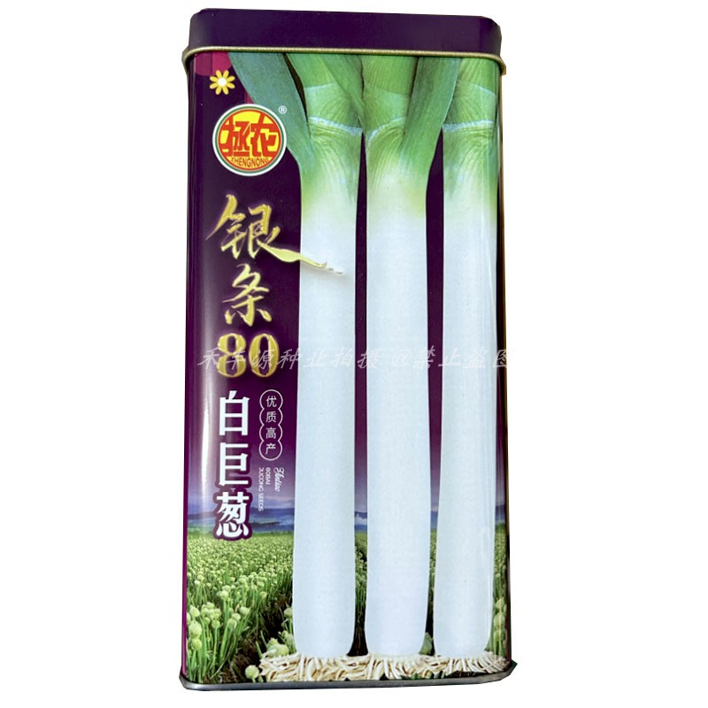 拯农 银条80白巨葱大葱种子200g章丘大梧桐铁杆耐寒山东大葱种子