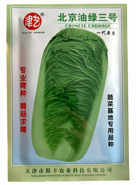 北京油绿三号新三号80天抱球紧实叶柄淡绿色抗病口感四季蔬菜种孑